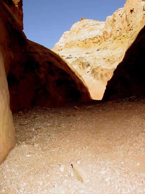 04160302LittleWildHorse (1110)